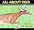 All About Deer