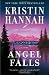 Angel Falls: A Novel