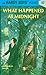 Hardy Boys 10: What Happened at Midnight