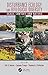 Disturbance Ecology and Biological Diversity: Scale, Context, and Nature