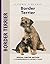 Border Terrier (Comprehensive Owner's Guide)