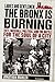 Ladies and Gentlemen, the Bronx Is Burning: 1977, Baseball, Politics, and the Battle for the Soul of a City