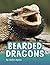 Bearded Dragons (Animals)