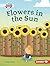 Flowers in the Sun (Plant Life Cycles (Pull Ahead Readers — Fiction))