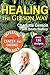 Healing the Gerson Way: : Defeating Cancer and Other Chronic Diseases