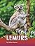 Lemurs (Animals)