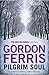 Pilgrim Soul (Douglas Brodie Series Book 3)