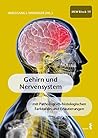 Gehirn und Nerven...