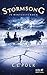 Stormsong: In Winterstürmen (German Edition)