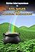 Shirker John Leprechaun -in- The Quest For Dragon Treasure (Shirker John Chronicles Book 1)