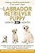 Your Labrador Retriever Puppy Month By Month: Everything You Need to Know at Each Stage of Development (Your Puppy Month by Month)