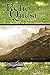Relic Quest: Book 2 in the Quest Series