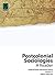 Postcolonial Sociologies: A Reader (Political Power and Social Theory Book 31)