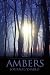 ambers journal/diablo