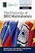 The Challenge of BRIC Multinationals (Progress in International Business Research Book 11)