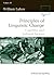 Principles of Linguistic Change, Volume 3: Cognitive and Cultural Factors (Language in Society Book 36)