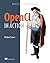 OpenCL in Action: How to accelerate graphics and computations