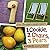 1 Cookie, 2 Chairs, 3 Pears: Numbers Everywhere (Jane Brocket's Clever Concepts)