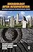 Archaeology After Interpretation: Returning Materials to Archaeological Theory