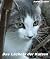 Das Lächeln der Katzen: Ein...
