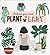 Plant Lady: A Practical Guide to Houseplants Including Succulents, Cacti, and Herbs
