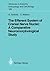 The Efferent System of Cranial Nerve Nuclei: A Comparative Neuromorphological Study (Advances in Anatomy, Embryology and Cell Biology Book 128)