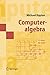 Computeralgebra (Masterclass) (German Edition)