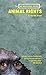 No-Nonsense Guide to Animal Rights (No-Nonsense Guides Book 1)