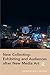 New Collecting: Exhibiting and Audiences after New Media Art