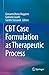 CBT Case Formulation as Therapeutic Process