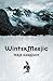 WinterMaejic (The DragonSpawn Cycle Book 2)