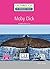 Moby Dick - Niveau 4/B2 - Lecture CLE en français facile - Ebook (Lectures CLE en français facile) (French Edition)