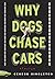 Why Dogs Chase Cars: Tales of a Beleaguered Boyhood