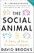 The Social Animal: A Story of How Success Happens