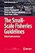 The Small-Scale Fisheries Guidelines: Global Implementation (MARE Publication Series Book 14)