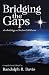 Bridging the Gaps by Randolph R Davis