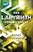 Das Labyrinth vergisst nicht (Labyrinth, #4)
