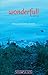 Wonderfull: A Novel (Nunatak First Fiction Series Book 23)