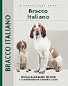 Bracco Italiano: ...