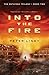 Into The Fire (The Detainee Series Book 2)