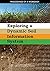 Exploring a Dynamic Soil Information System: Proceedings of a Workshop