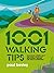 1001 Walking Tips: Navigation, fitness, gear and safety advice for hillwalkers, trekkers and urban adventurers (1001 Tips Book 4)