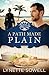 A Path Made Plain (Seasons in Pinecraft Book 2)