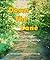 Down The Lane: Short Stories of Adventures and Magical Days