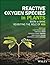 Reactive Oxygen Species in ...