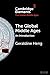 The Global Middle Ages: An Introduction (Elements in the Global Middle Ages)