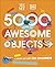 The Met 5000 Years of Awesome Objects: A History of Art for Children (DK The Met)