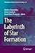 The Labyrinth of Star Formation (Astrophysics and Space Science Proceedings Book 36)