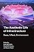 The Aesthetic Life of Infra...
