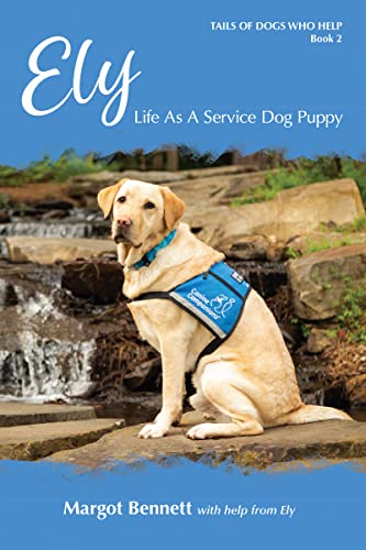 Ely, Life As A Service Dog Puppy (Tails Of Dogs Who Help)